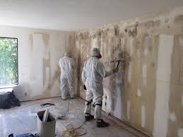 Bessemer City, NC Mold Removal Services Company